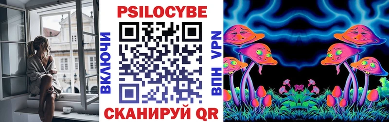 Псилоцибиновые грибы GOLDEN TEACHER Борисоглебск