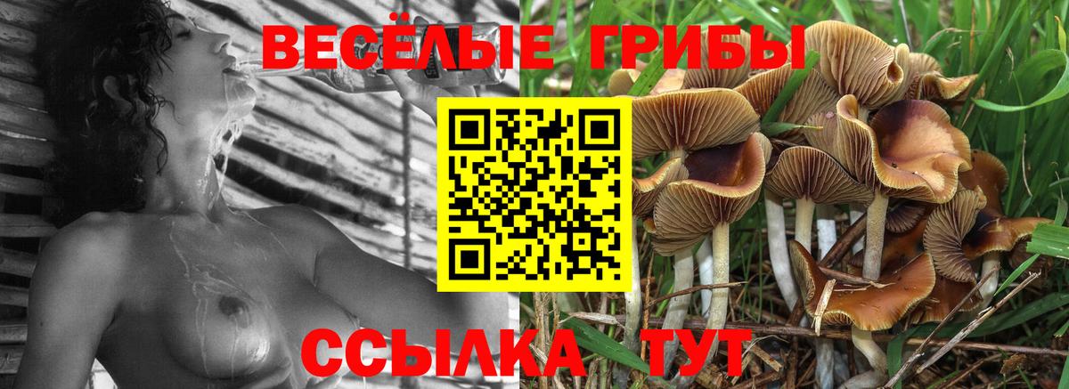 Псилоцибиновые грибы прущие грибы  Вход с VPN  купить   Борисоглебск 